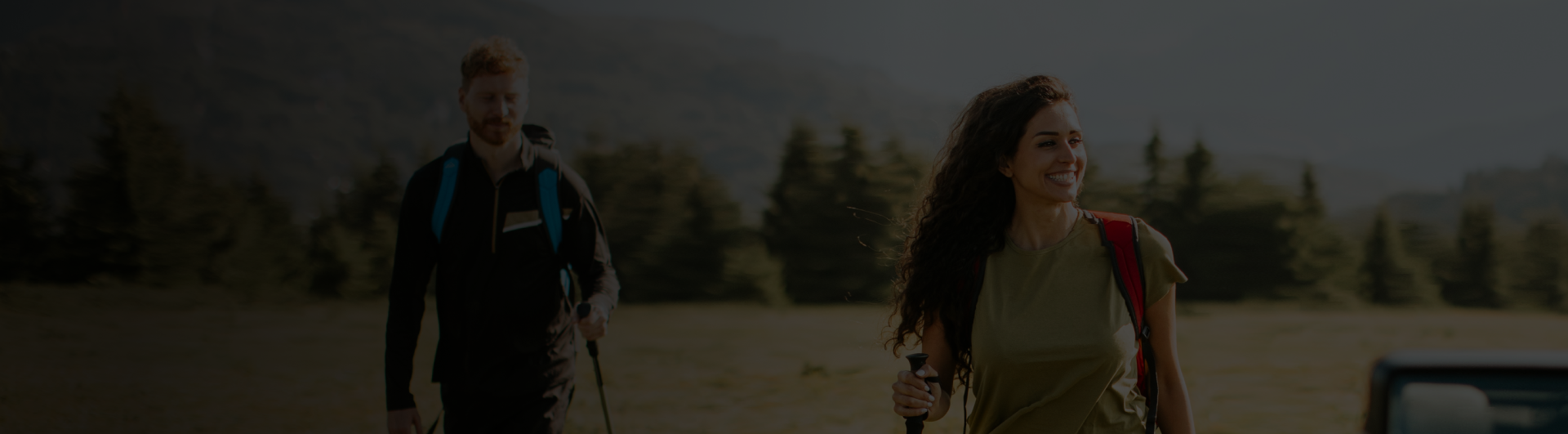 Piesoft. Interface Redesign Project