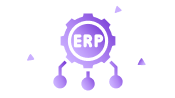 Enterprise Resource Planning (ERP), Tailored Just for You