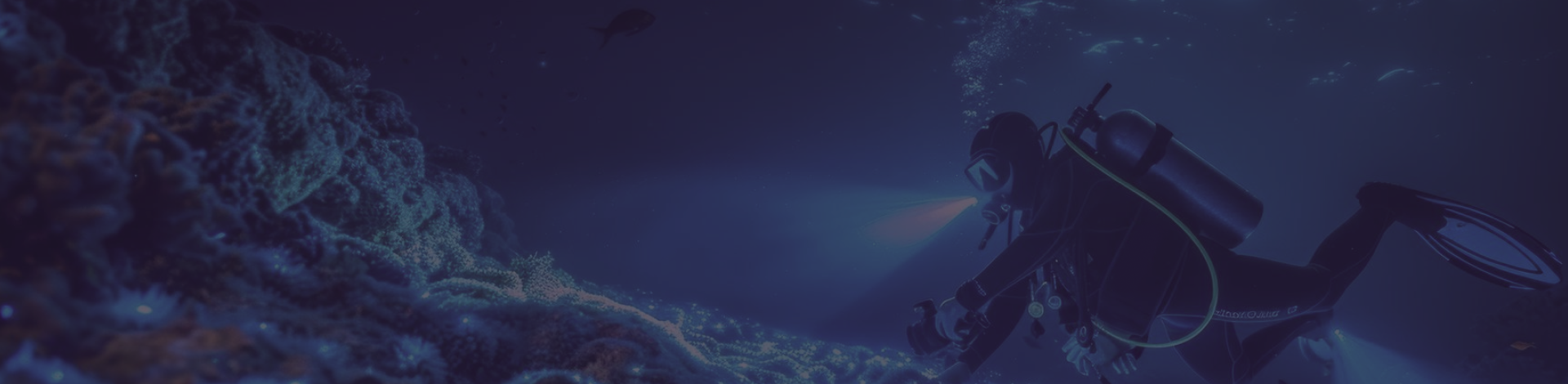 Piesoft. Underwater Camera