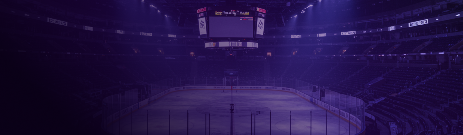 Piesoft. Hockey Arena Panoramic Video System